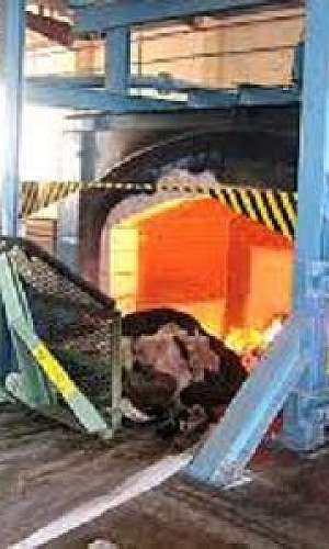 Incineração de resíduos industriais e hospitalares Incineração de resíduos industriais e hospitalares